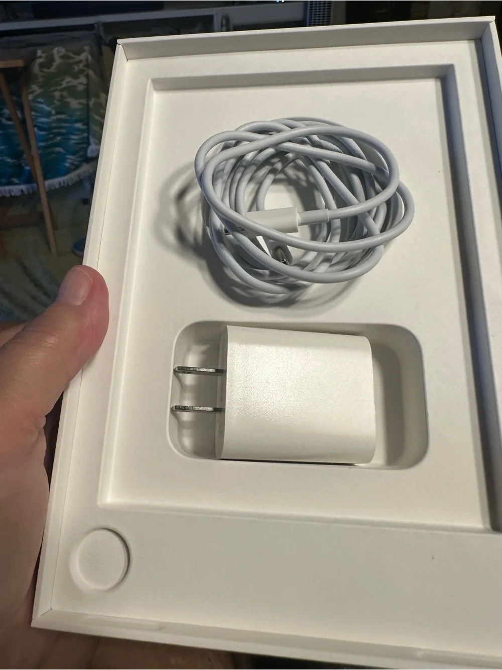 IPad mini (A17 Pro) Wi-Fi + Cellular